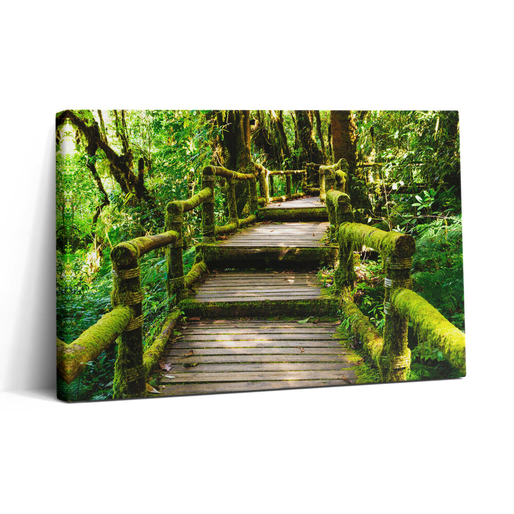 Fotoobraz na plátne 30x20 Drevený most v zelenej džungli