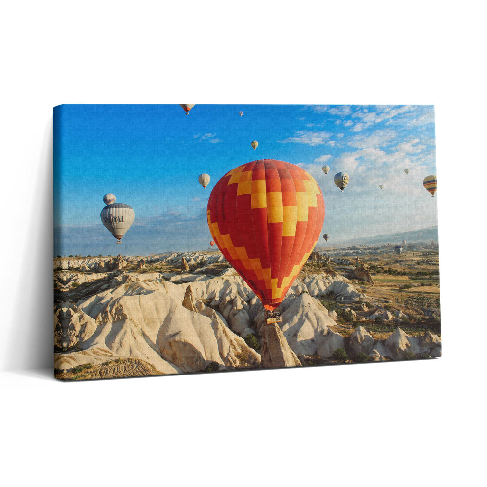 Obraz na plátne 30x20 Balóny nad krajinou snov