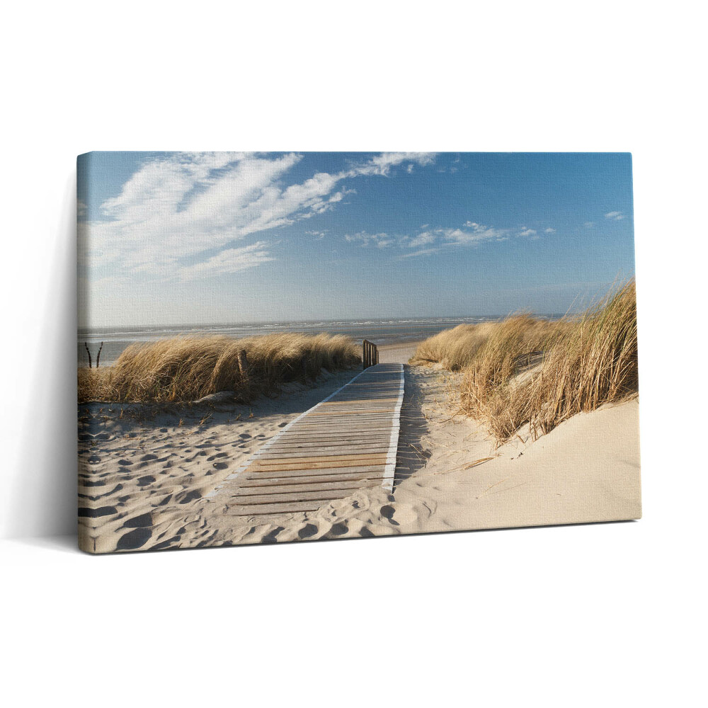 Obraz na plátne 30x20 Cesta cez piesočné duny
