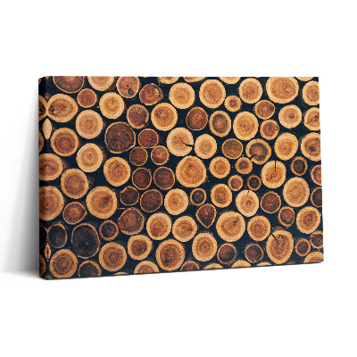 Obraz na plátne 30x20 Drevo a kruhy času