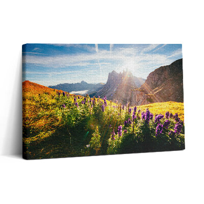 Obraz na plátne 30x20 Horské lúky pri západe slnka