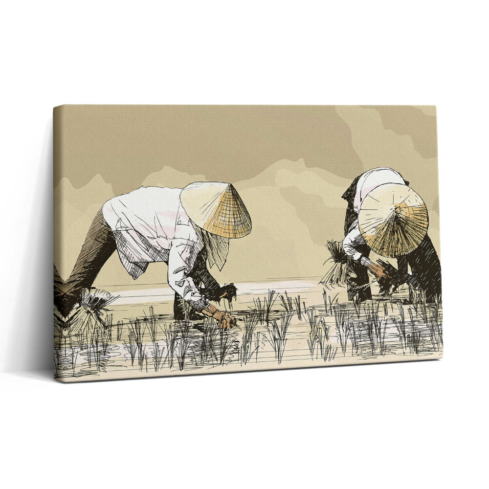 Obraz na plátne 30x20 Práca na ryžových poliach