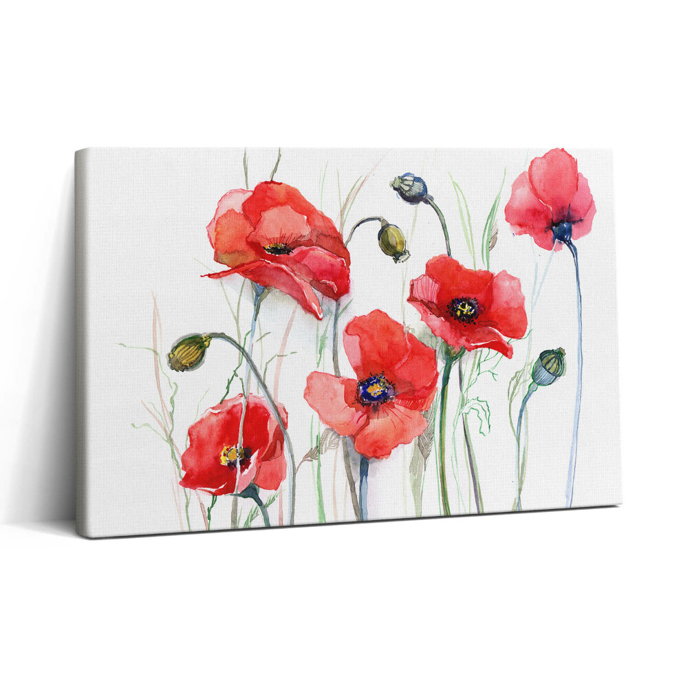 Obraz na plátne 30x20 Červené maky vo vetre