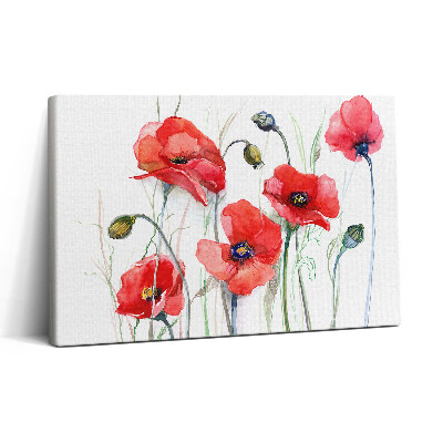 Obraz na plátne 30x20 Červené maky vo vetre