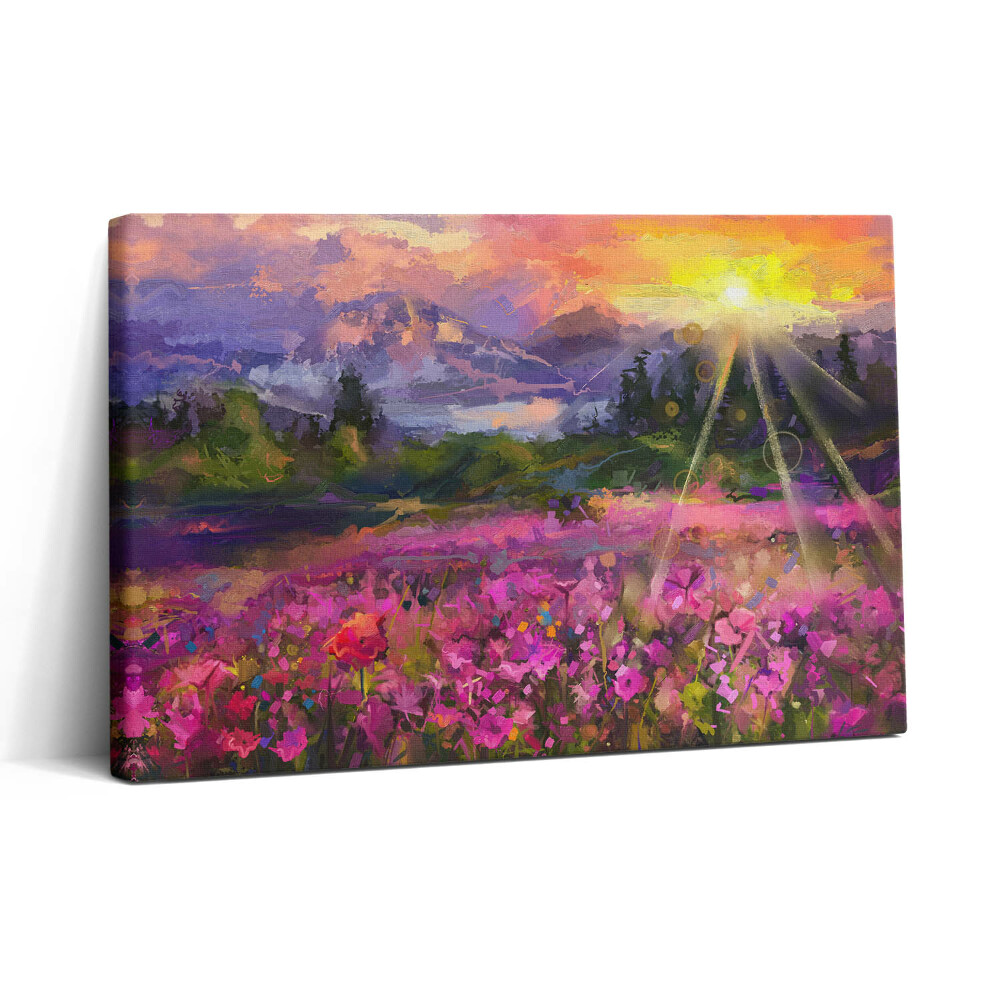 Obraz na plátne 30x20 Lúka pri západe slnka