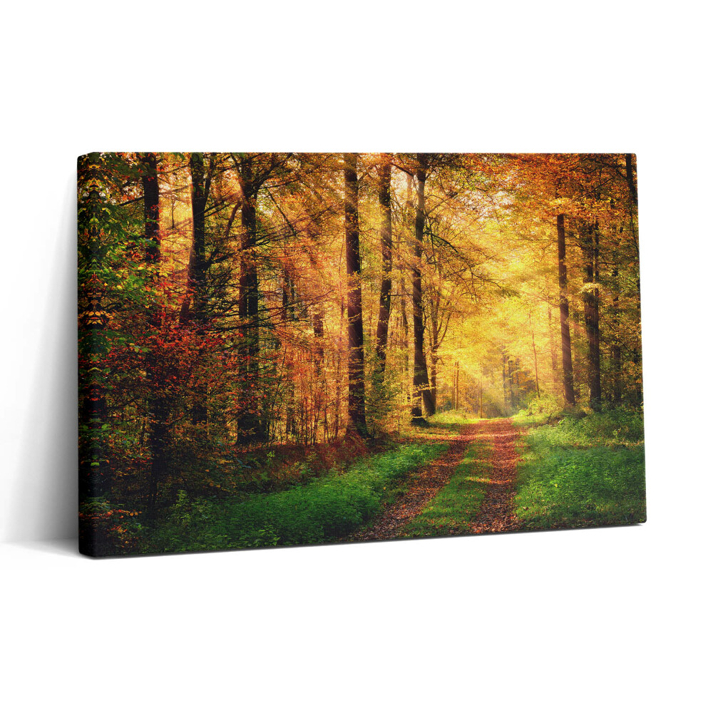 Obraz na plátne 30x20 Jesenný lesný chodník svetla