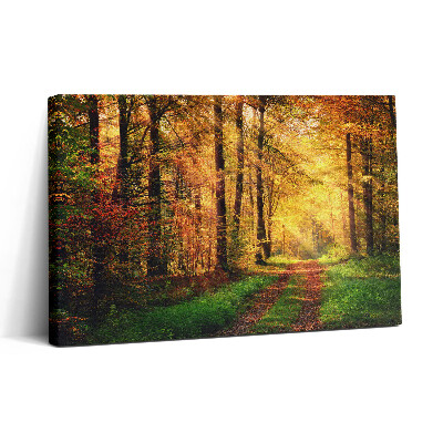 Obraz na plátne 30x20 Jesenný lesný chodník svetla