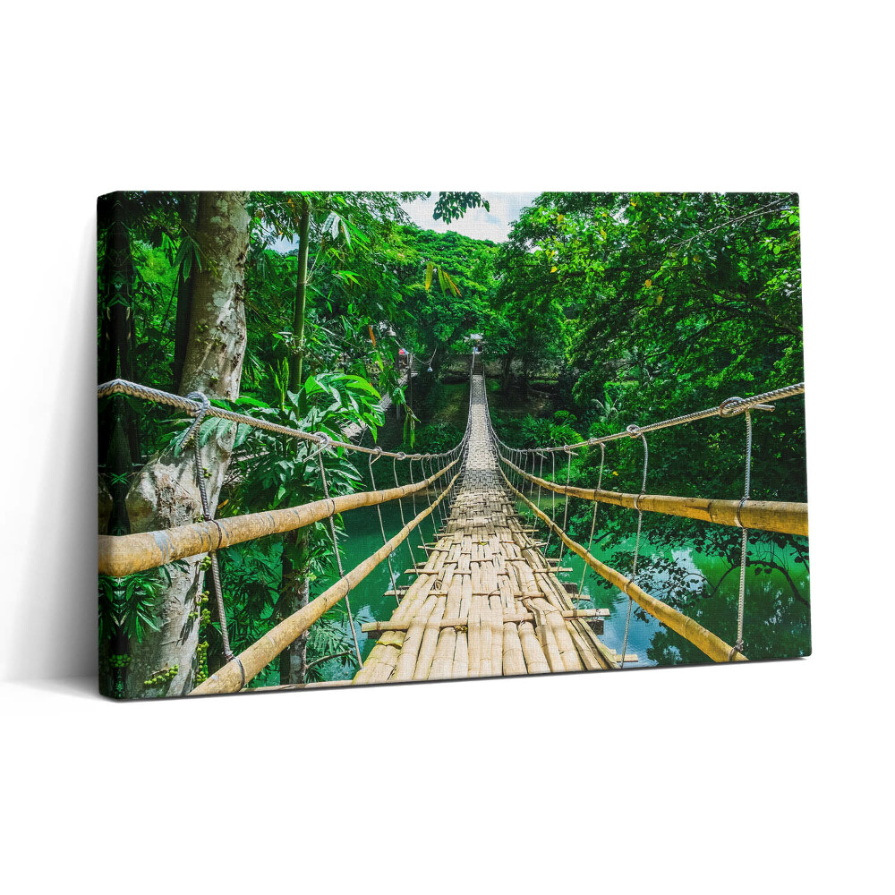 Obraz na plátne 30x20 Bambusový most v džungli