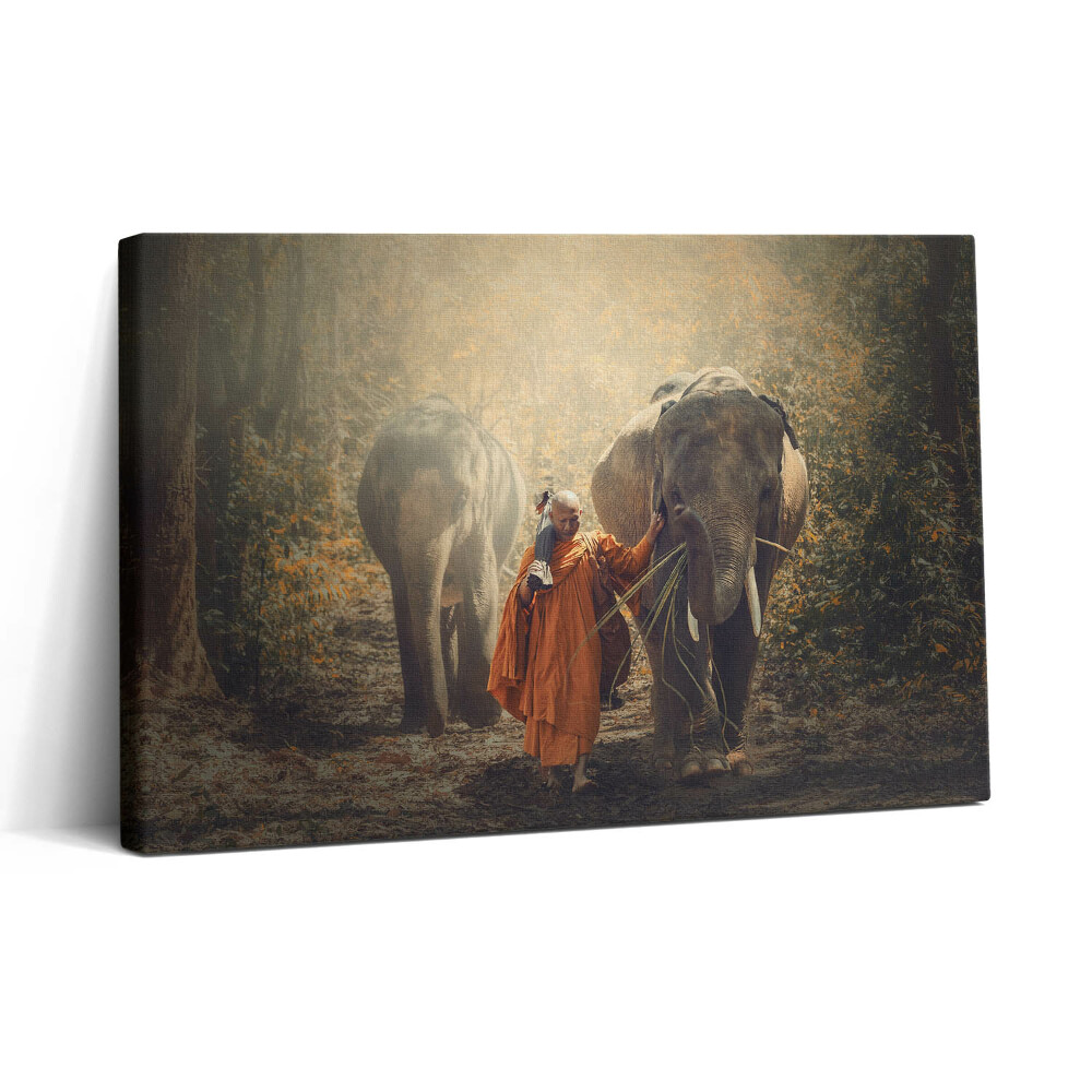 Obraz na plátne 30x20 Mních a slony v lese