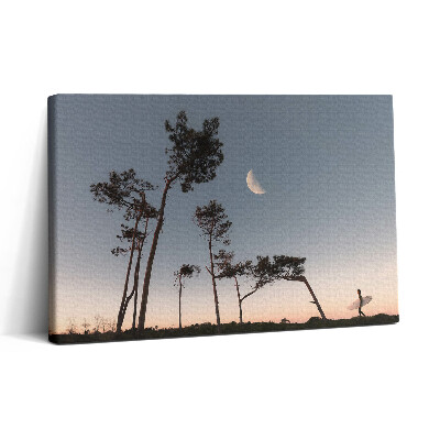 Obraz na plátne 30x20 Surfer pri mesačnom svite