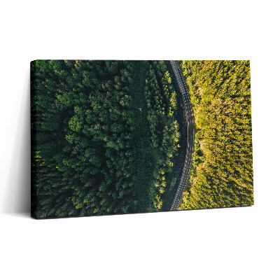 Obraz na plátne 30x20 Cesta cez lesný porast