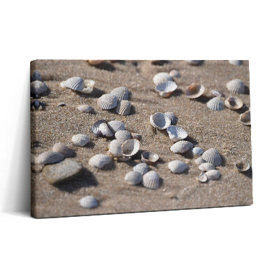 Obraz na plátne 30x20 Mušle na piesočnatej pláži