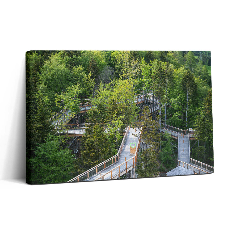 Obraz na plátne 30x20 Lesná lávka medzi stromami