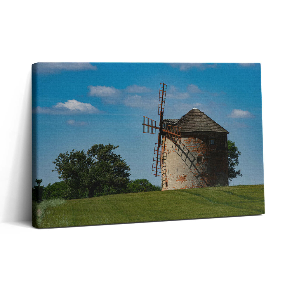 Obraz na plátne 30x20 Veterný mlyn na zelenej lúke