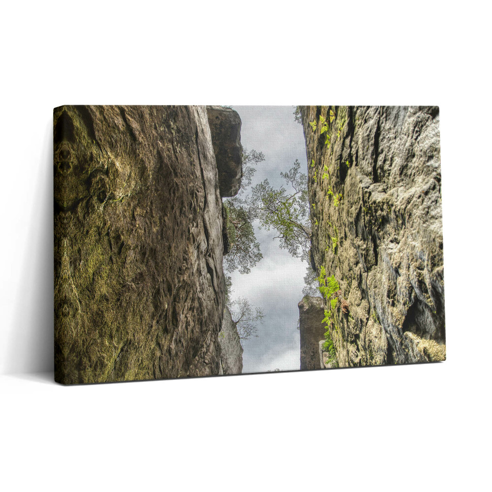 Obraz na plátne 30x20 Pohľad nahor v skalnej rokline
