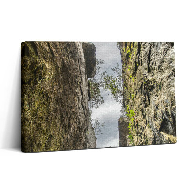 Obraz na plátne 30x20 Pohľad nahor v skalnej rokline
