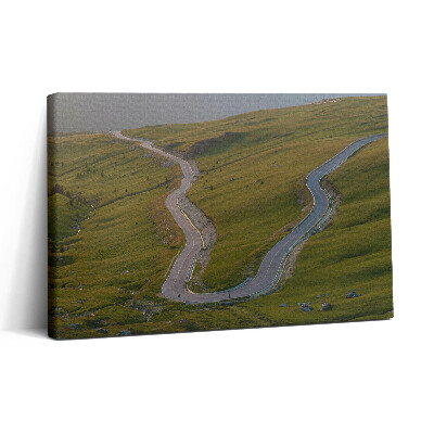 Obraz na plátne 30x20 Cesta cez zelené kopce