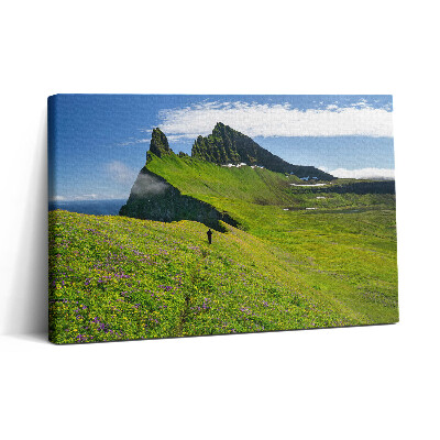 Obraz na plátne 30x20 Zelená lúka pod modrou oblohou