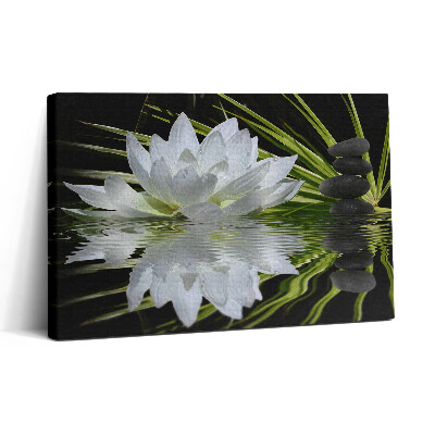 Obraz na plátne 30x20 Pokojná lotosová harmónia