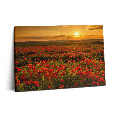 Obraz na plátne 60x40 Krajina s makovým poľom