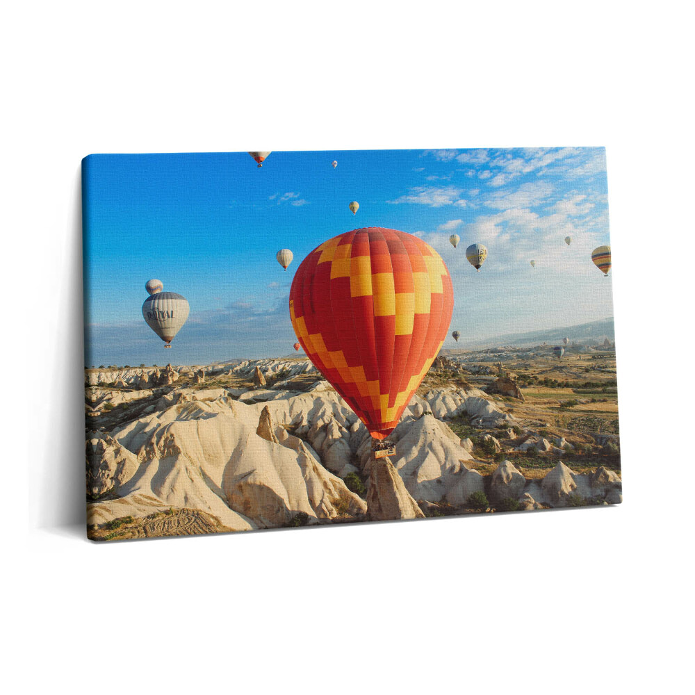 Obraz na plátne 60x40 Lietajúce balóny