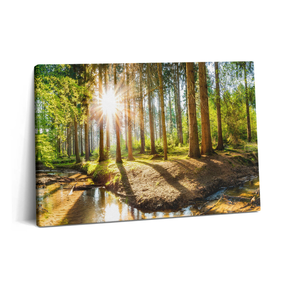Obraz na plátne 60x40 Slnko za stromami v lese