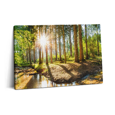 Obraz na plátne 60x40 Slnko za stromami v lese