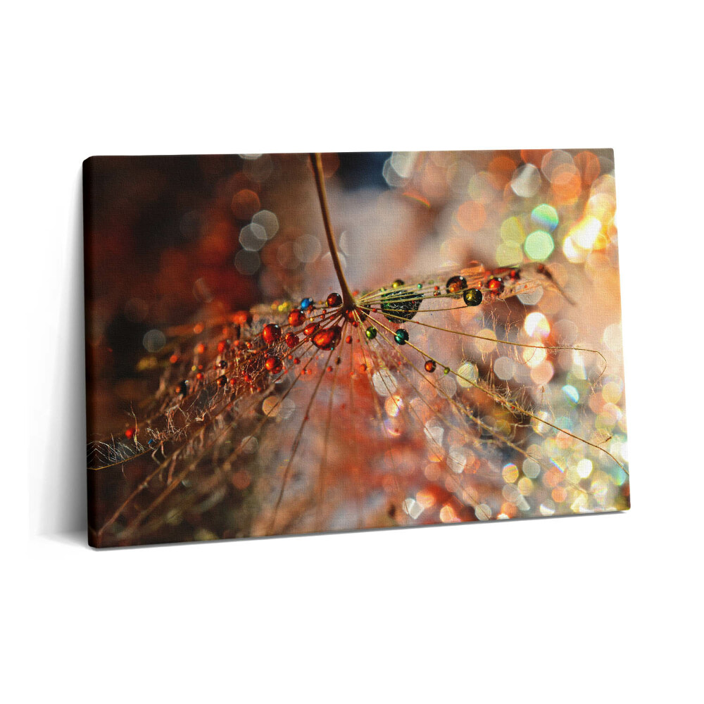 Fotoobraz na plátne 60x40 Púpava a rosa