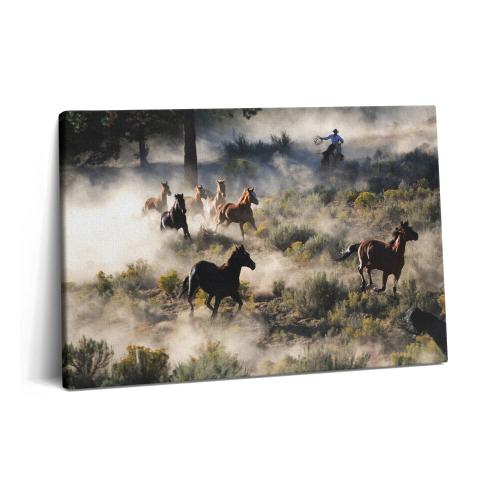 Fotoobraz na plátne 60x40 Stádo cválajúcich koní