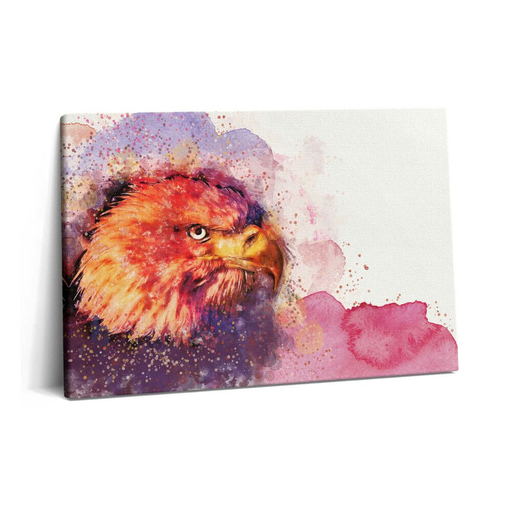Obraz na plátne 60x40 Akvarel vták orol