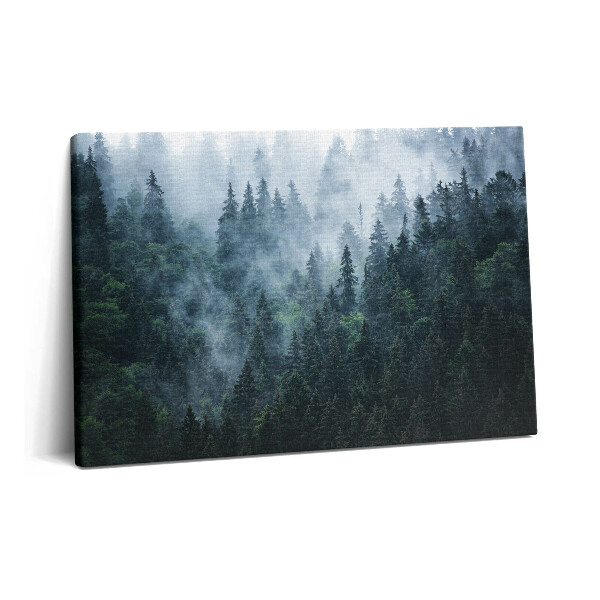 Fotoobraz na plátne 60x40 Hmlistá horská krajina