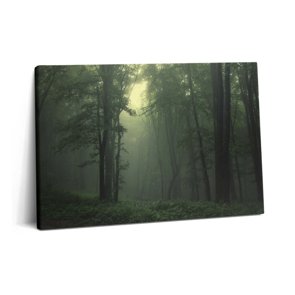 Fotoobraz na plátne 60x40 Hmlistý les ráno