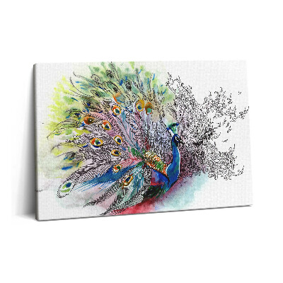 Obraz na plátne 60x40 Farebný páv