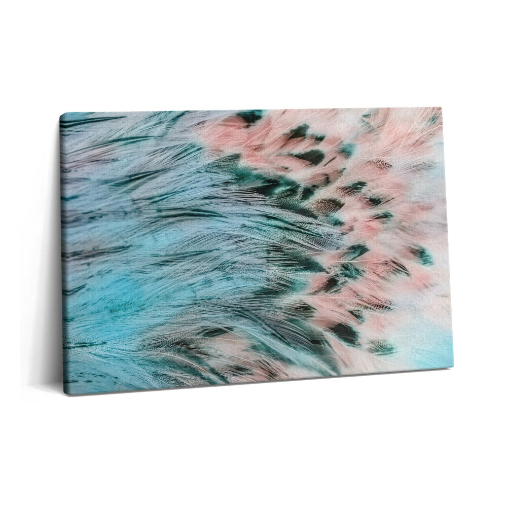 Obraz na plátne 60x40 Farebné pierka