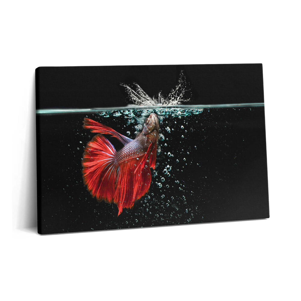Obraz na plátne 60x40 Ryby v akváriu