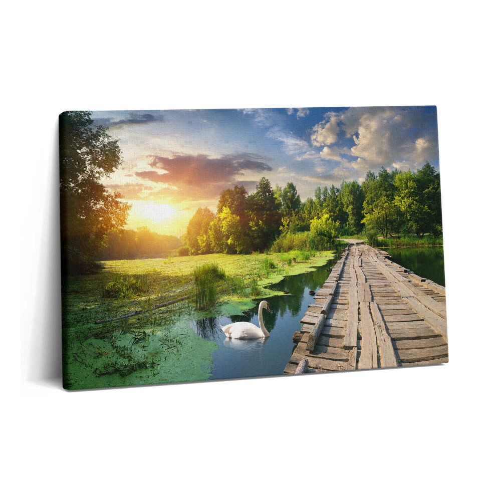 Fotoobraz na plátne 60x40 Labuť pri západe slnka