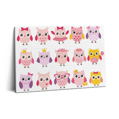 Fotoobraz na plátne 60x40 Farebné mláďatá sovy