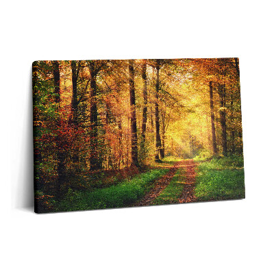Fotoobraz na plátne 60x40 Jesenná krajina lesa