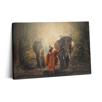 Fotoobraz na plátne 60x40 Mních a slony