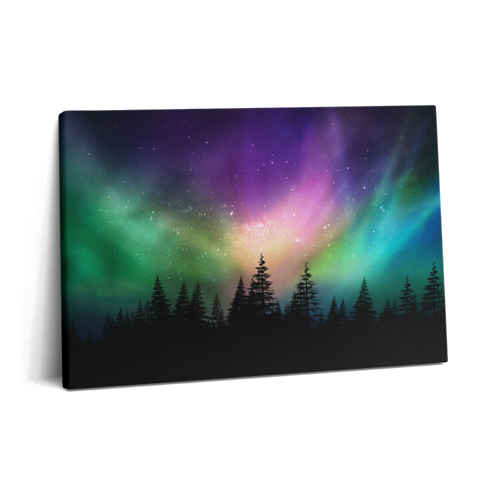 Obraz na plátne 60x40 Polárna žiara