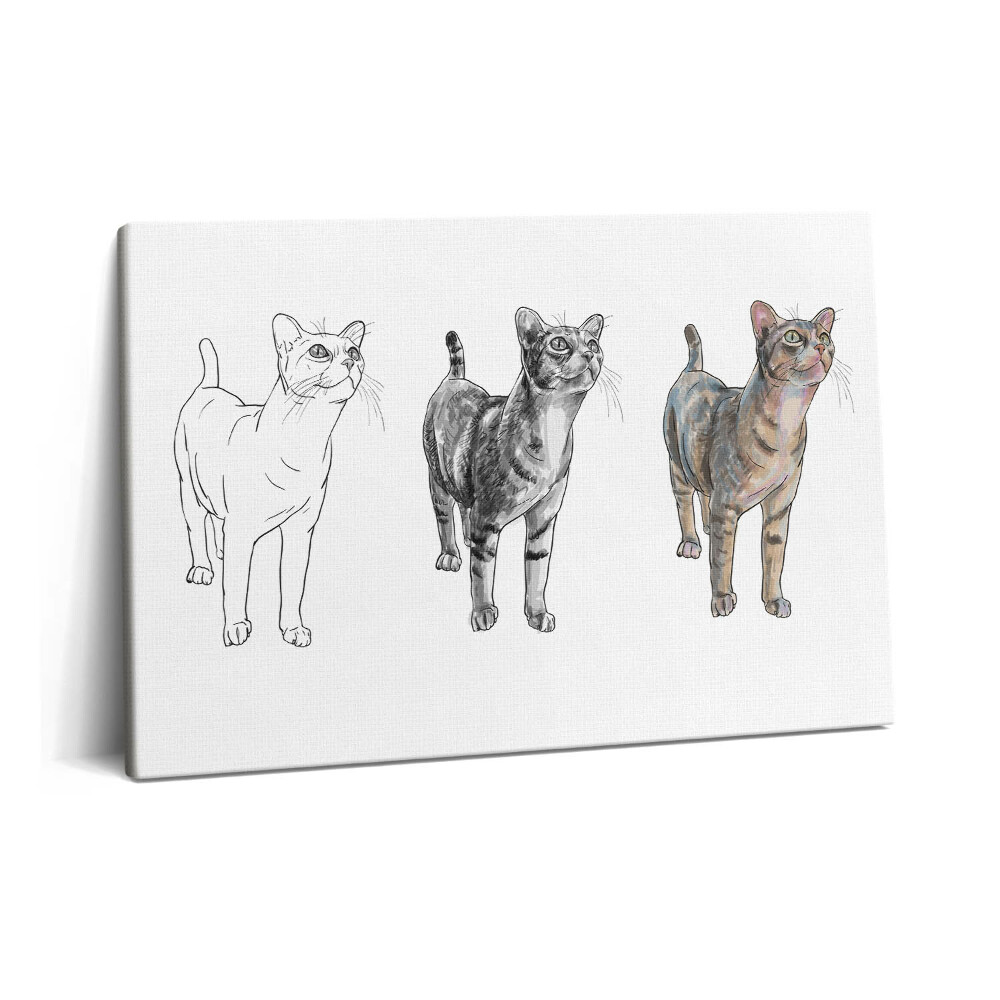 Fotoobraz na plátne 60x40 Ilustrácia roztomilej zvedavej mačky