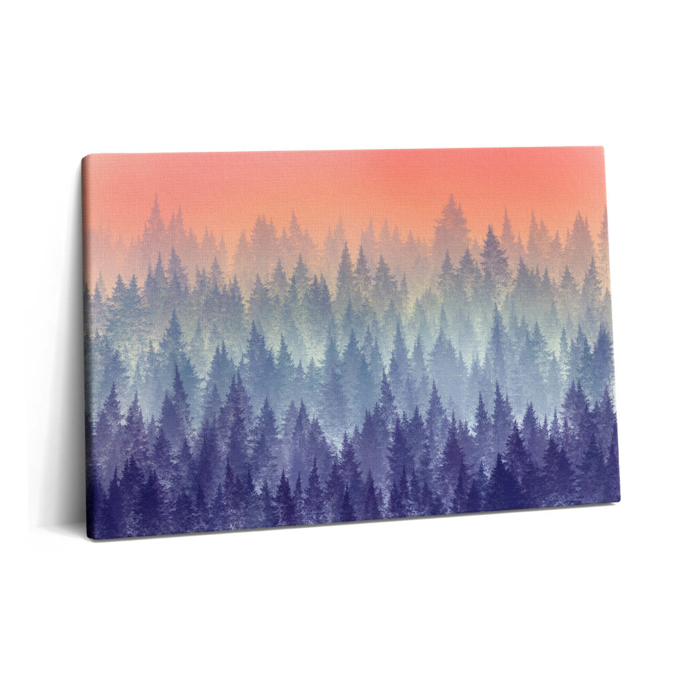 Obraz na plátne 60x40 Les v hmle