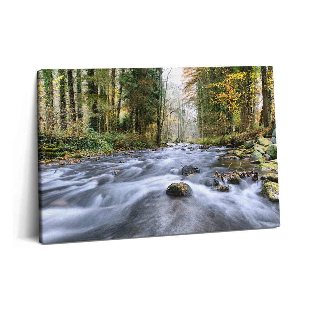 Obraz na plátne 60x40 Horský potok