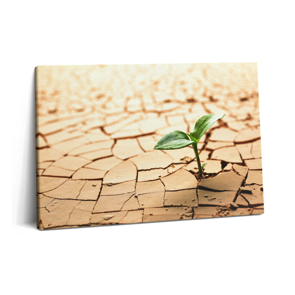 Fotoobraz na plátne 60x40 Výsadba v suchej pôde