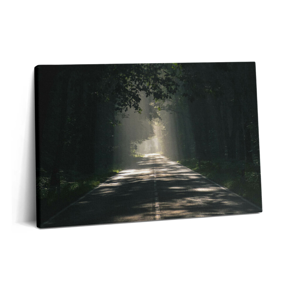 Obraz na plátne 60x40 Lesná cesta a pruhy slnečného svetla