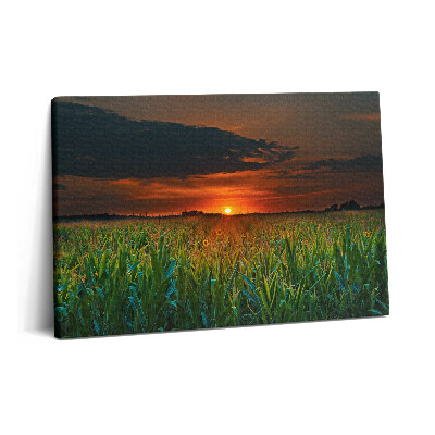 Fotoobraz na plátne 60x40 Slnečnica na lúke