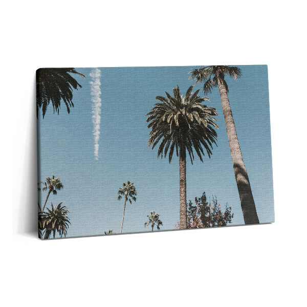 Fotoobraz na plátne 60x40 Palmy v Los Angeles