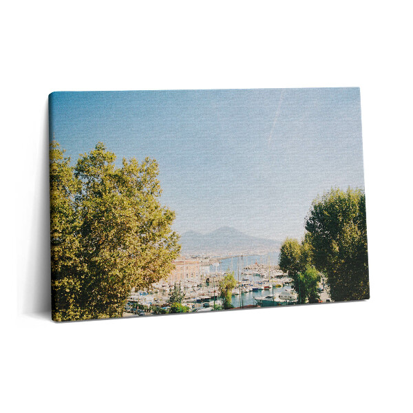 Obraz na plátne 60x40 Zelené stromy v Neapole