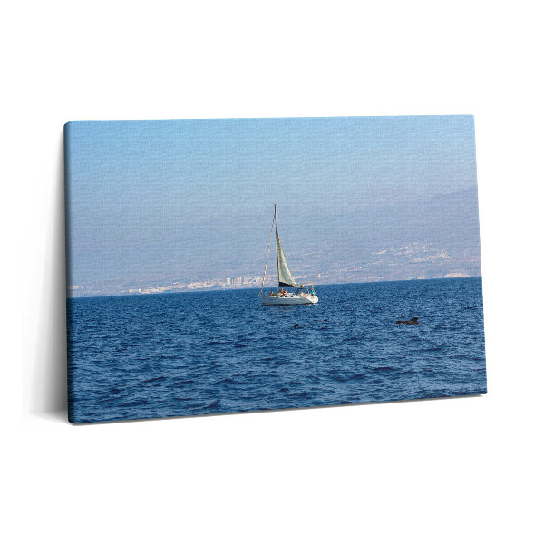 Fotoobraz na plátne 60x40 Jachta plaviaca sa po Tenerife