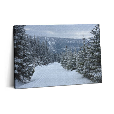 Obraz na plátne 60x40 České Krkonoše v zime